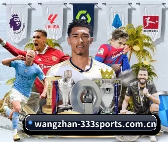 wangzhan-333sports.com.cn APP
